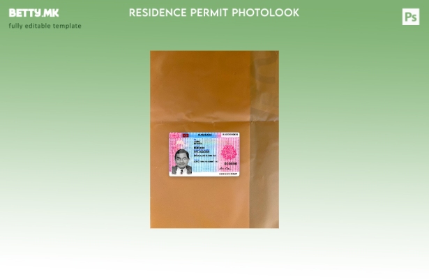 Модерен стил Естонија дозвола за престој со фото изглед преден шаблон